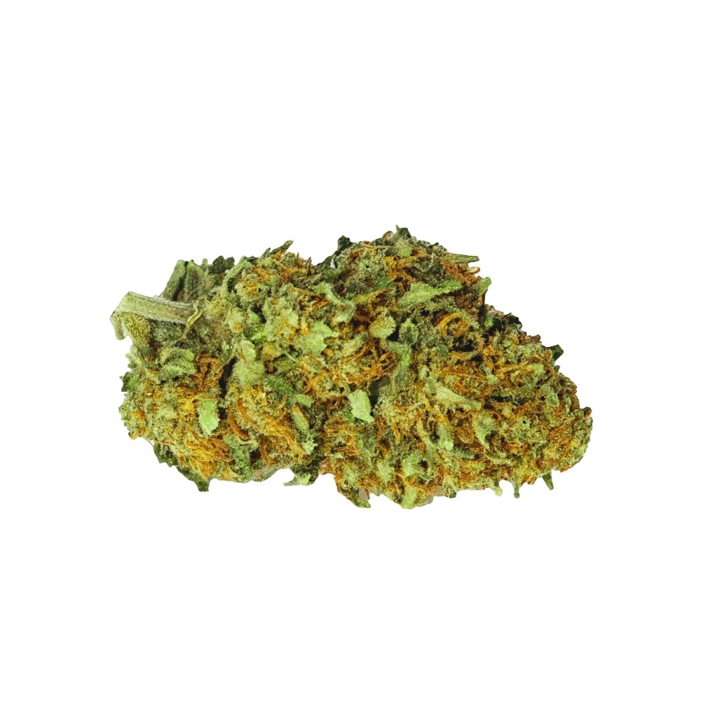 Fleur Jack Herer 35% CBDP - 35% CBDP pas cher - CBDP PARIS