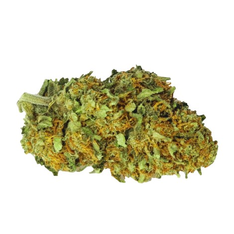 Fleur Jack Herer 35% CBDP - 35% CBDP pas cher - CBDP PARIS