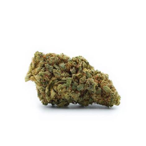 White Widow 25% 10-OH-HHC - CBDP PARIS