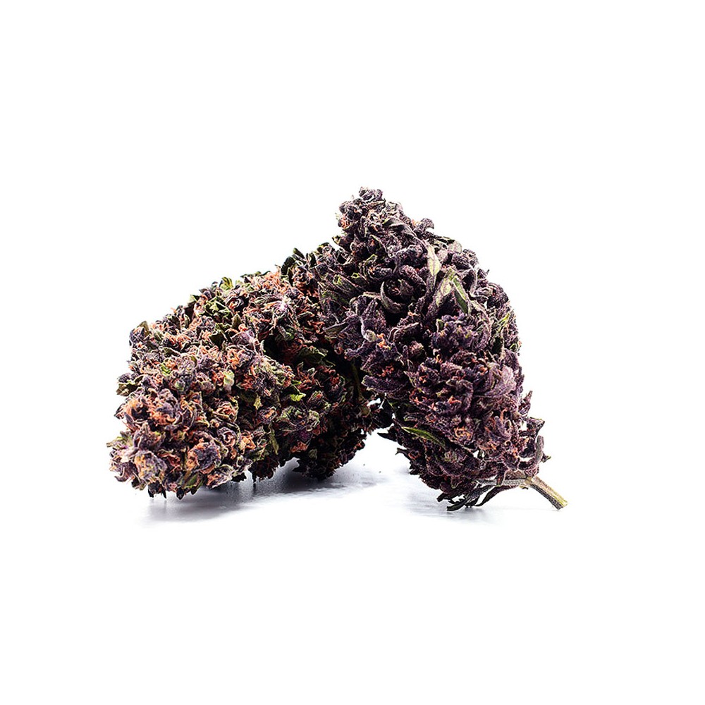 Purple Haze 40% 10-OH-HHC