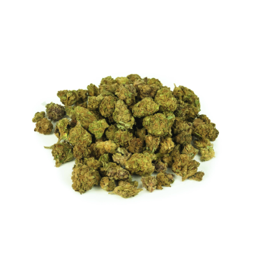 Small Bud 15% CBG-9 - CBDP Paris