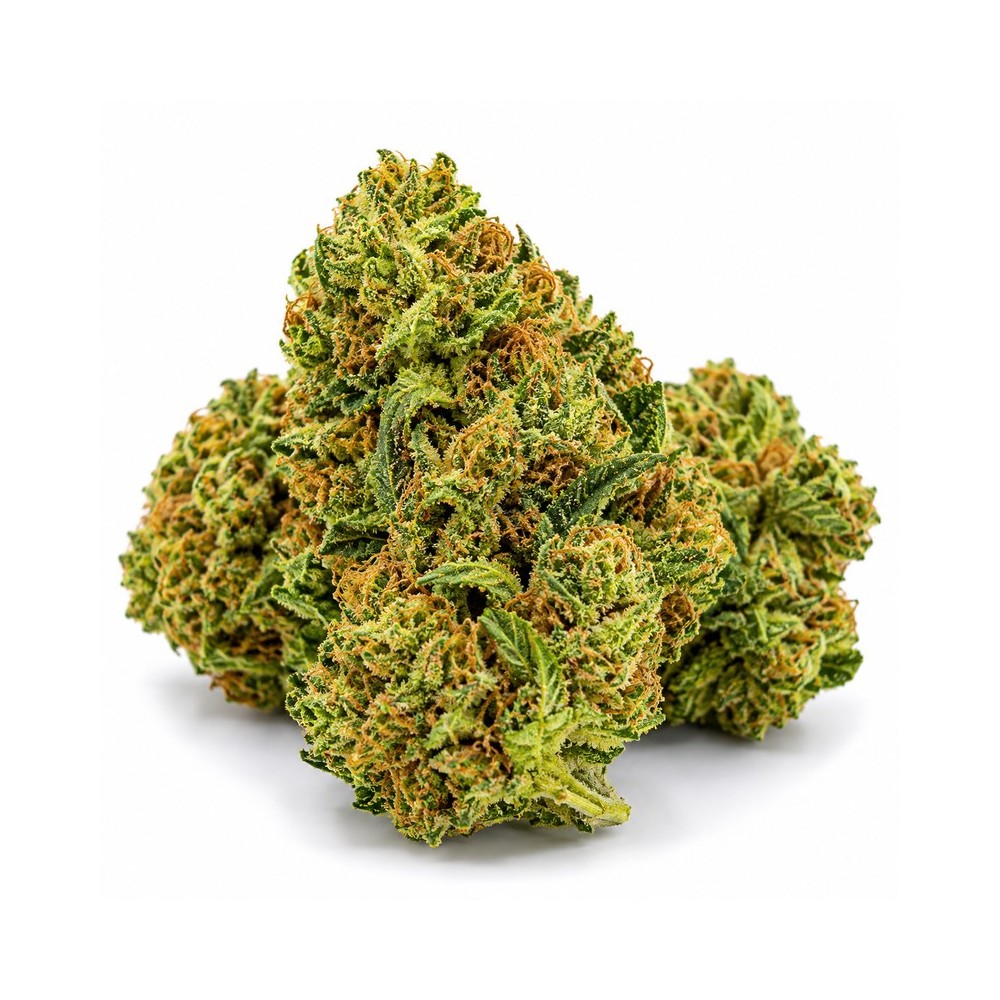 Bubble Gum 30% – Fleur CBD