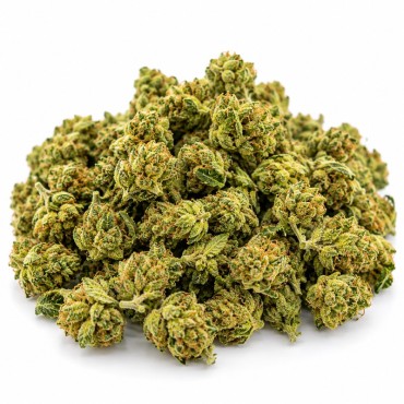 Small Bud 20% – Fleur CBD