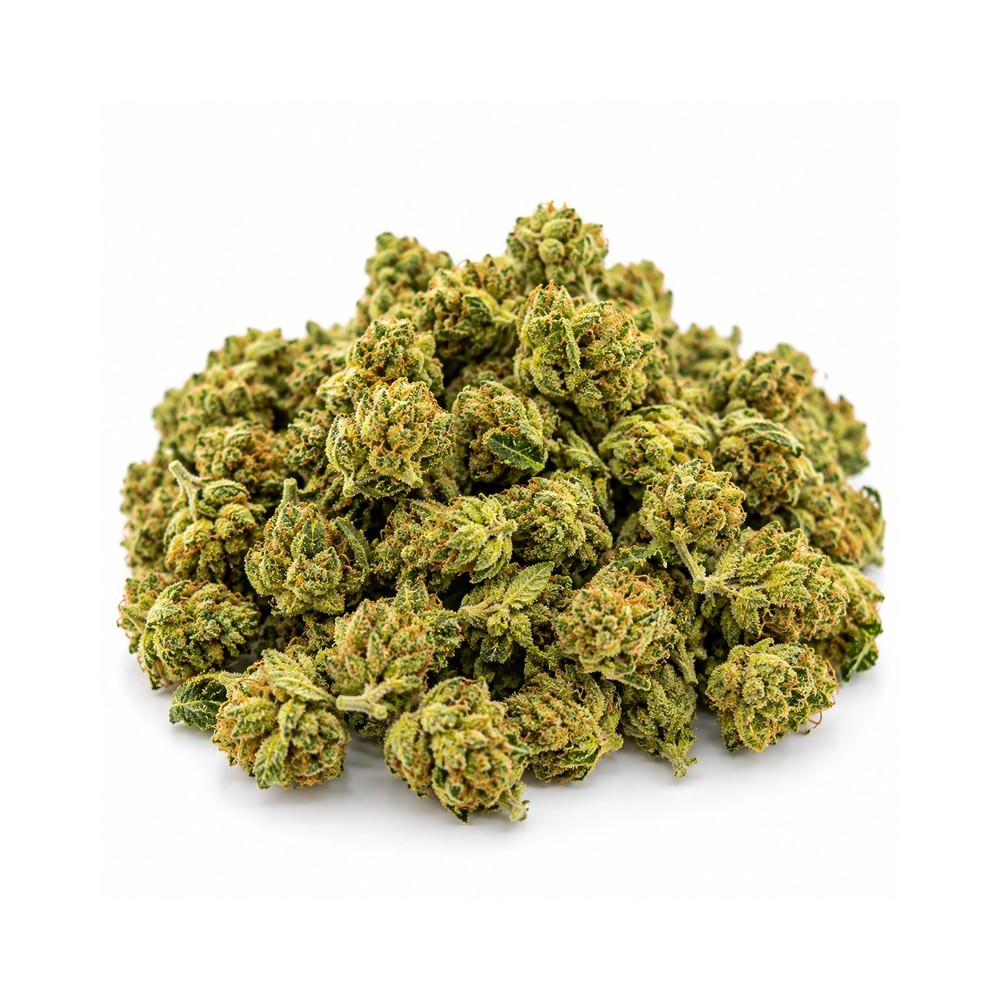 Small Bud 20% – Fleur CBD