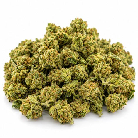 Small Bud 20% – Fleur CBD