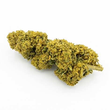 Amnésia Haze CBD