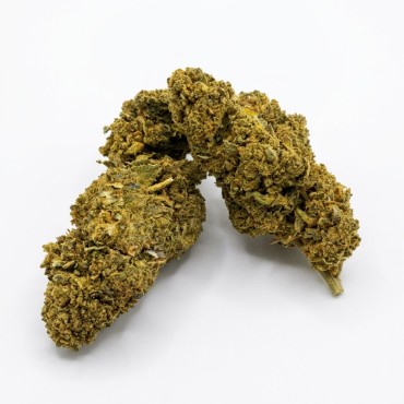 JACK HERER CBD