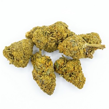 Orange Bud 35% – Fleur CBD