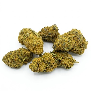 Bubble Gum 30% – Fleur CBD