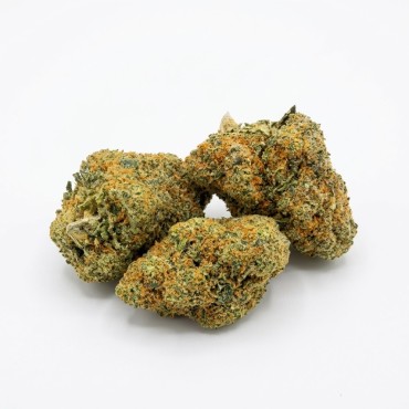 ORANGE BUD PREMIUM 40% – Fleur CBD
