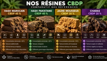 Quelle résine CBDP choisir ? Comparatif des résines